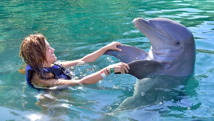 Dolphin Swim with Unlimited Food and Drinks shore excursion in Cozumel, Mexico