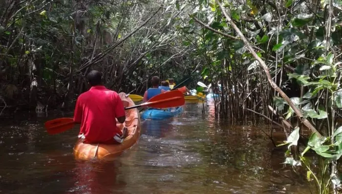 Mangrove Kayaking Adventure & Belize City Highlights shore excursion in Belize City, Belize