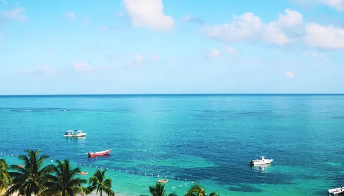 Local Distillery Stroll and Beach Break shore excursion in Grand Cayman
