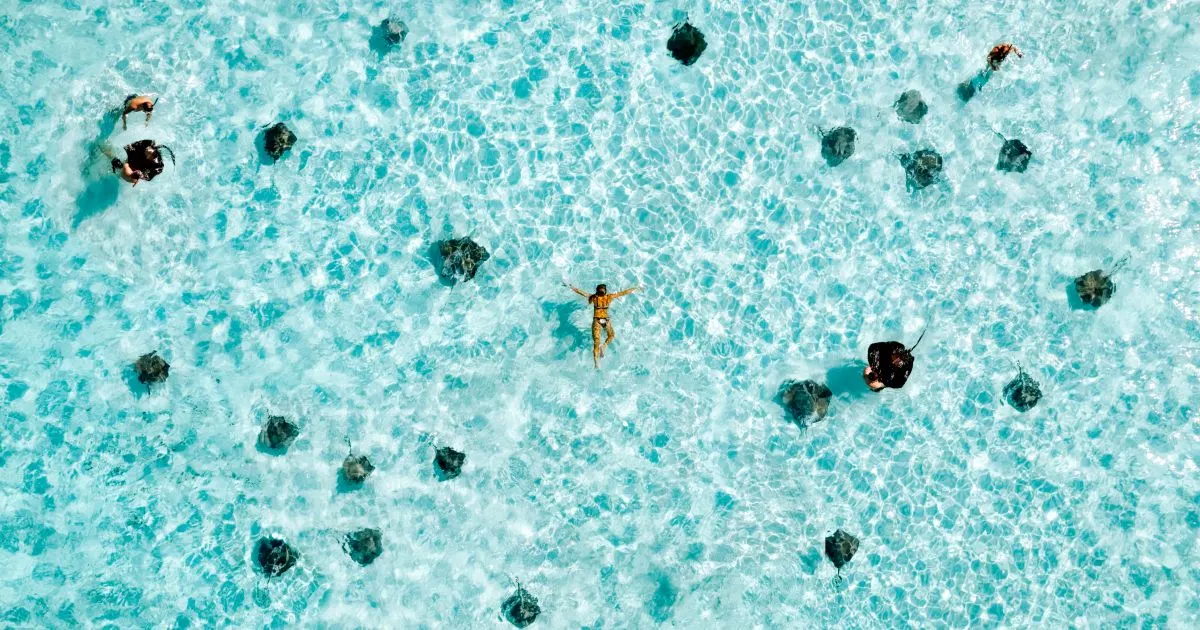 Grand Cayman — Margaritaville at Sea port of call