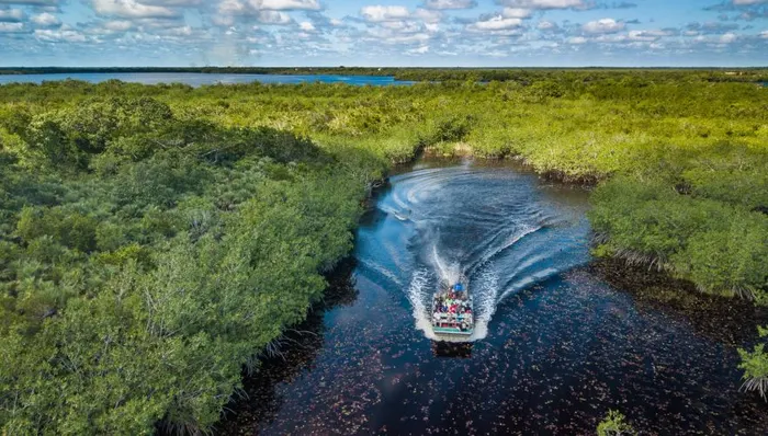 Wildlife Airboat Ride & City Highlights shore excursion in Belize City, Belize