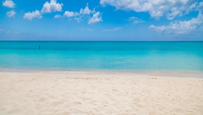 Accessible Grand Cayman Highlights Tour: Hell, Rum Cake, Seven Mile Beach shore excursion in Grand Cayman