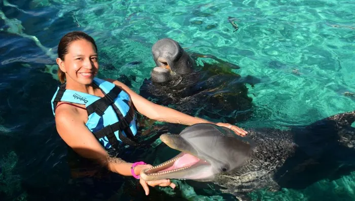 Sea Life Lovers: Dolphin, Manatee & Sea Lion All-Inclusive Experience shore excursion in Cozumel, Mexico