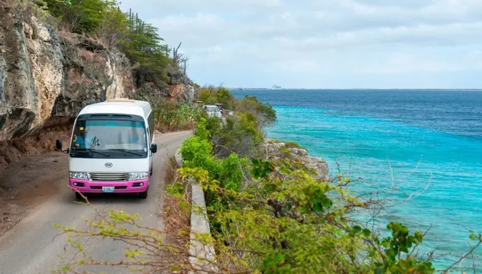 Discover North & South of Bonaire shore excursion in Bonaire