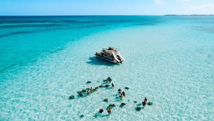 Turtles & Stingrays: Land and Sea Adventure shore excursion in Grand Cayman