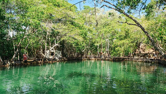 Natural Pool, Wildlife, Ruins, Beach & Lunch Adventure shore excursion in Progreso, Mexico