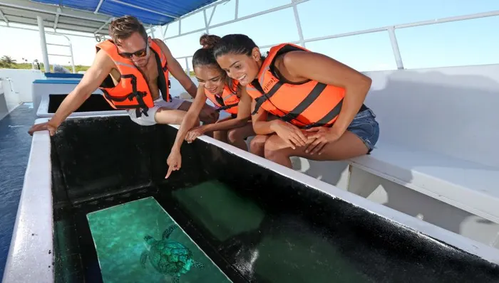 Reef Discovery: Glass Bottom Boat & Guided Snorkel Adventure shore excursion in Costa Maya, Mexico